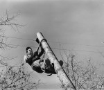 Lineman aloft a telephone pole