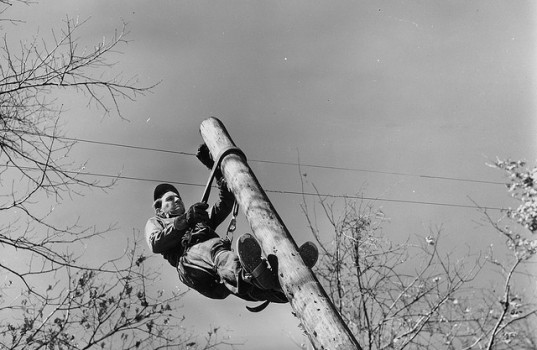 Lineman aloft a telephone pole