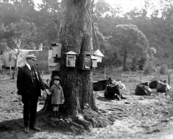 Postal Boundary, North Katoomba 1922